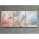 Kit 3 Quadros Decorativos Abstrato Dente de Le�o