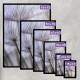 Kit 3 Quadros Decorativos Abstrato Dente de Le�o Mod 02