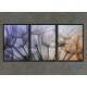 Kit 3 Quadros Decorativos Abstrato Dente de Le�o Mod 02
