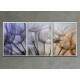 Kit 3 Quadros Decorativos Abstrato Dente de Le�o Mod 02