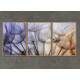 Kit 3 Quadros Decorativos Abstrato Dente de Le�o Mod 02