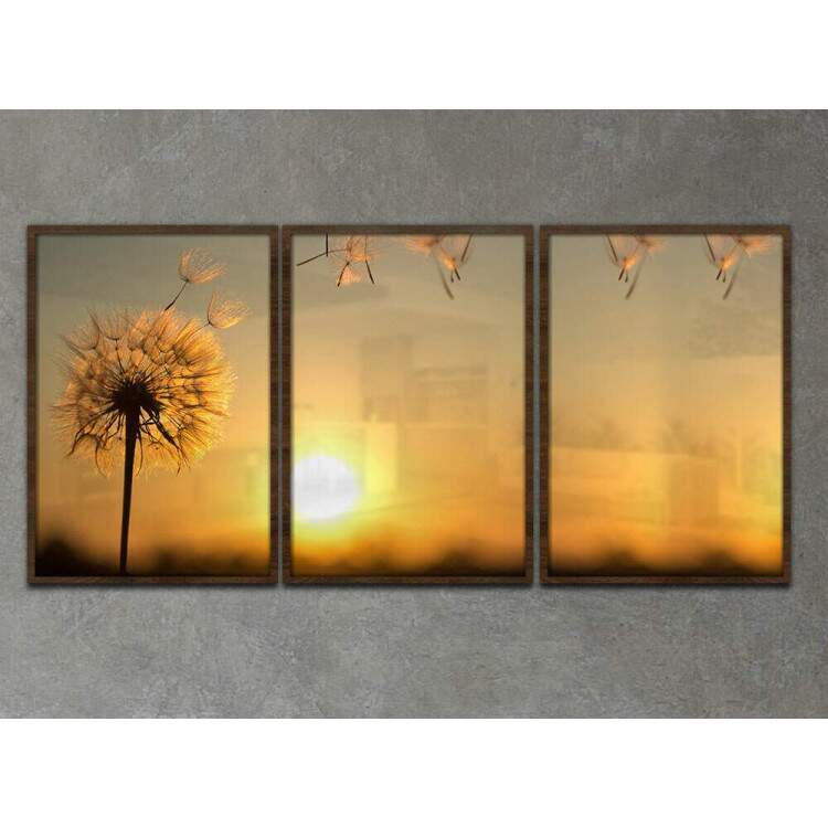 Kit 3 Quadros Decorativos Dente de Leo e Por do Sol