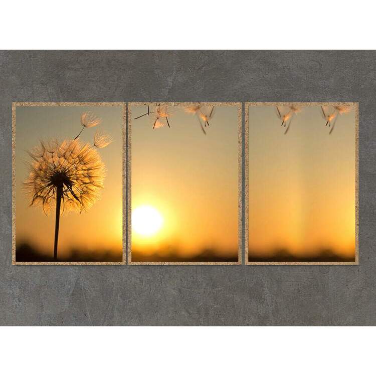 Kit 3 Quadros Decorativos Dente de Leo e Por do Sol