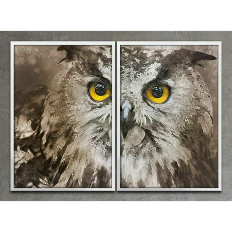 Kit 2 Quadros Decorativos Pintura Coruja