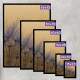 Kit 2 Quadros Decorativos Abstrato Dente de Le�o 