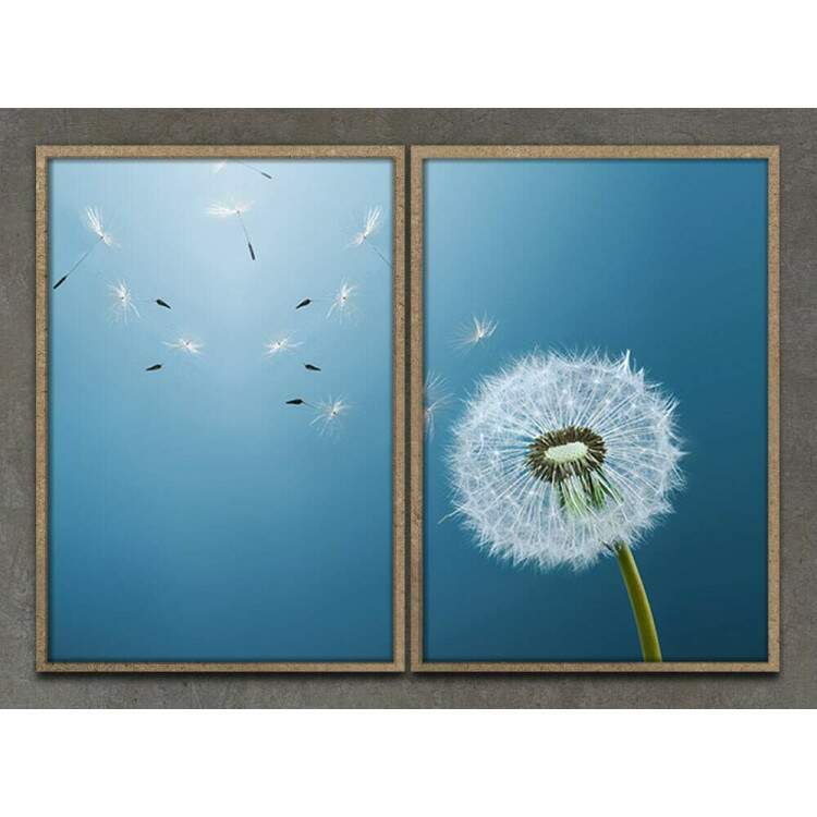 Kit 2 Quadros Decorativos Dente de Leo Mod e Cu