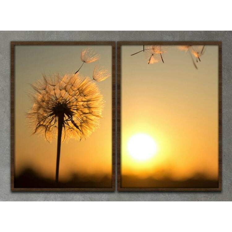 Kit 2 Quadros Decorativos Dente de Leo e Por do Sol