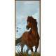 Adesivo Para Porta Cavalo Spirit