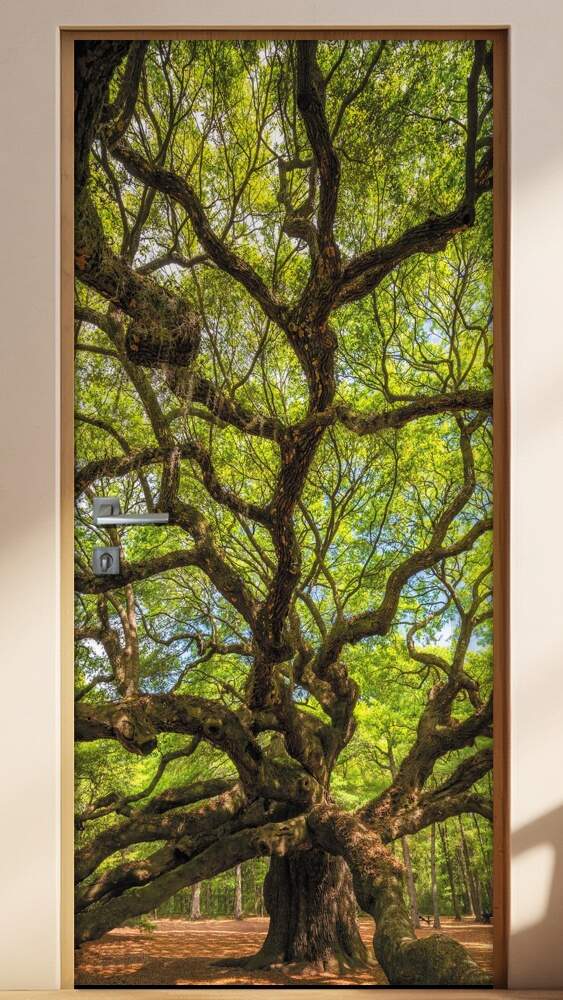 Adesivo Para Porta �Rvore Floresta