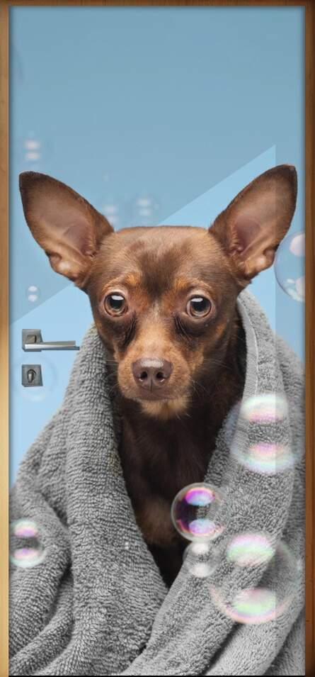 Adesivo Para Porta Pet Shop Pinscher Fundo Azul