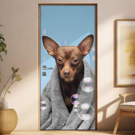 Adesivo Para Porta Pet Shop Pinscher Fundo Azul