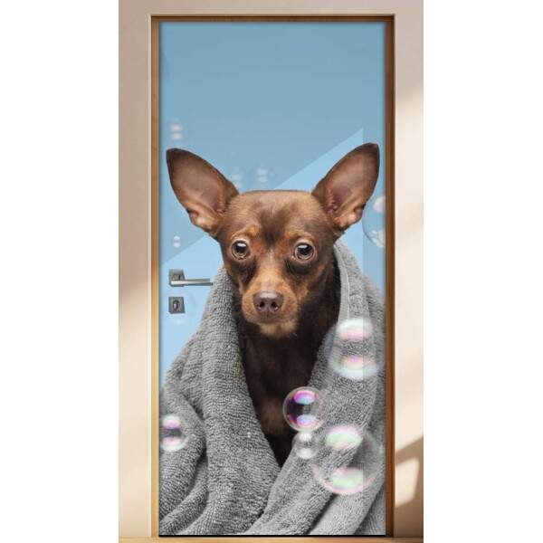 Adesivo Para Porta Pet Shop Pinscher Fundo Azul