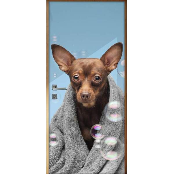 Adesivo Para Porta Pet Shop Pinscher Fundo Azul