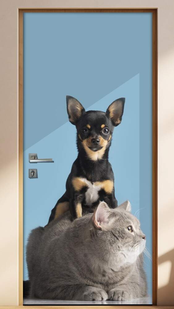 Adesivo Para Porta Pet Shop Pinscher E Gato Cinza Fundo Azul