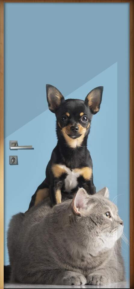 Adesivo Para Porta Pet Shop Pinscher E Gato Cinza Fundo Azul
