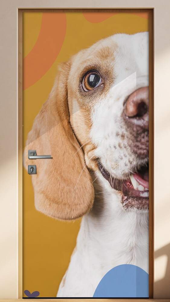 Adesivo Para Porta Pet Shop Cachorro Fundo Laranja