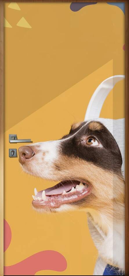 Adesivo Para Porta Pet Shop Pinscher Fundo Laranja Com Detalhes