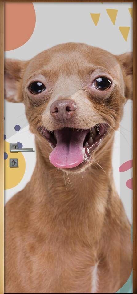 Adesivo Para Porta Pet Shop Pinscher Caramelo Fundo Branco Com Detalhes