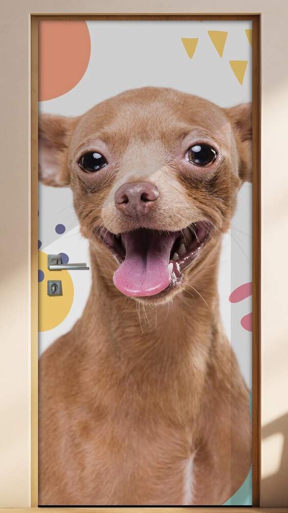 Adesivo Para Porta Pet Shop Pinscher Caramelo Fundo Branco Com Detalhes