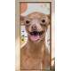 Adesivo Para Porta Pet Shop Pinscher Caramelo Fundo Branco Com Detalhes