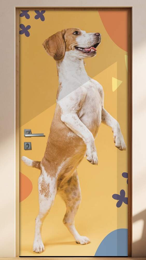 Adesivo Para Porta Pet Shop Cachorro Pulando Fundo Bege Com Detalhes
