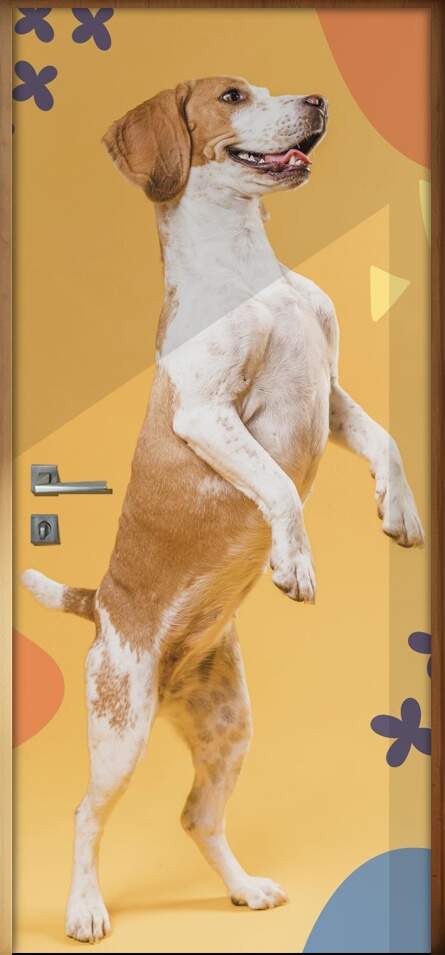 Adesivo Para Porta Pet Shop Cachorro Pulando Fundo Bege Com Detalhes