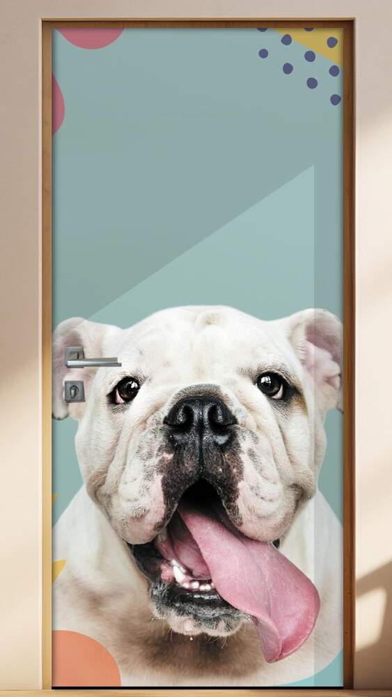 Adesivo Para Porta Pet Shop Cachorro Bulldog Fundo Azul Com Detalhes