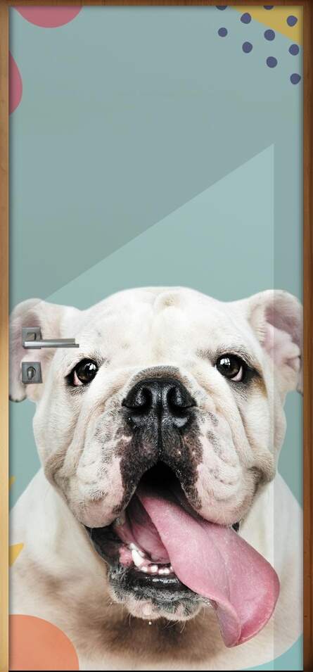 Adesivo Para Porta Pet Shop Cachorro Bulldog Fundo Azul Com Detalhes