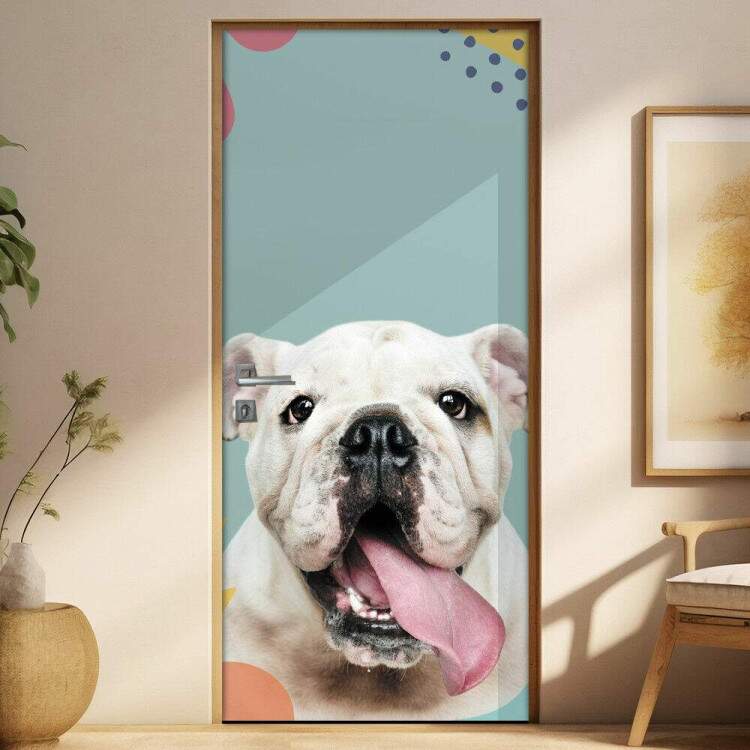 Adesivo Para Porta Pet Shop Cachorro Bulldog Fundo Azul Com Detalhes