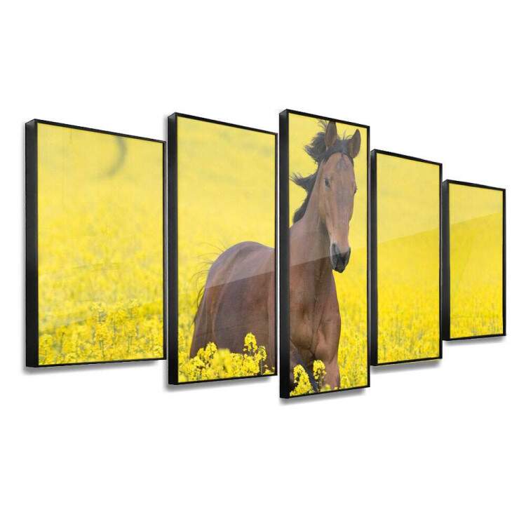 Kit 5 Quadros Decorativos Mosaico Cavalo nas Cores Amarelas