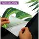 Adesivo Para Porta Folhas Verdes Com Flores Azuis