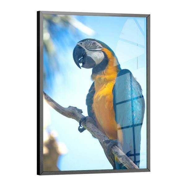 Quadro Decorativo Arara Azul