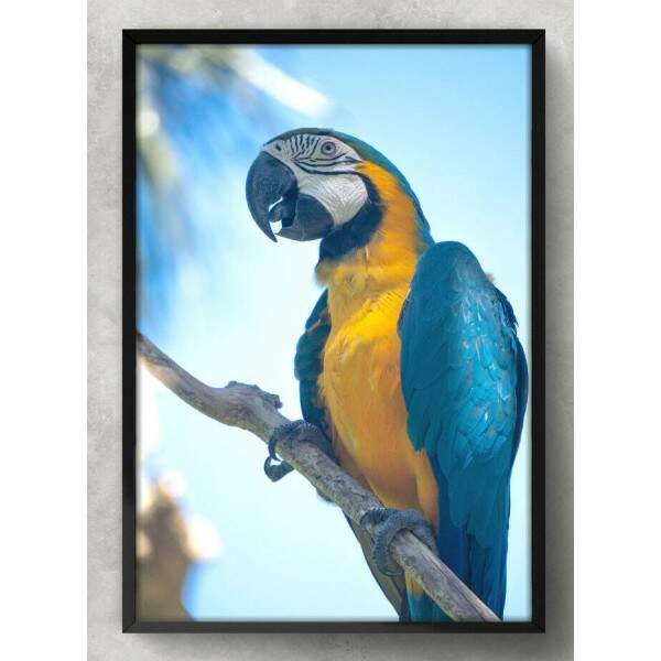 Quadro Decorativo Arara Azul