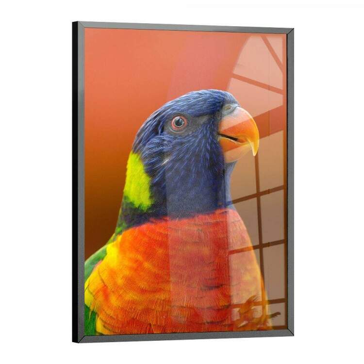 Quadro Decorativo Arara Colorida