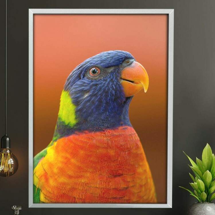 Quadro Decorativo Arara Colorida