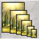 Quadro Decorativo Caminho de �rvores