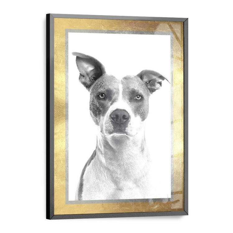 Quadro Decorativo Cachorro Preto e Branco