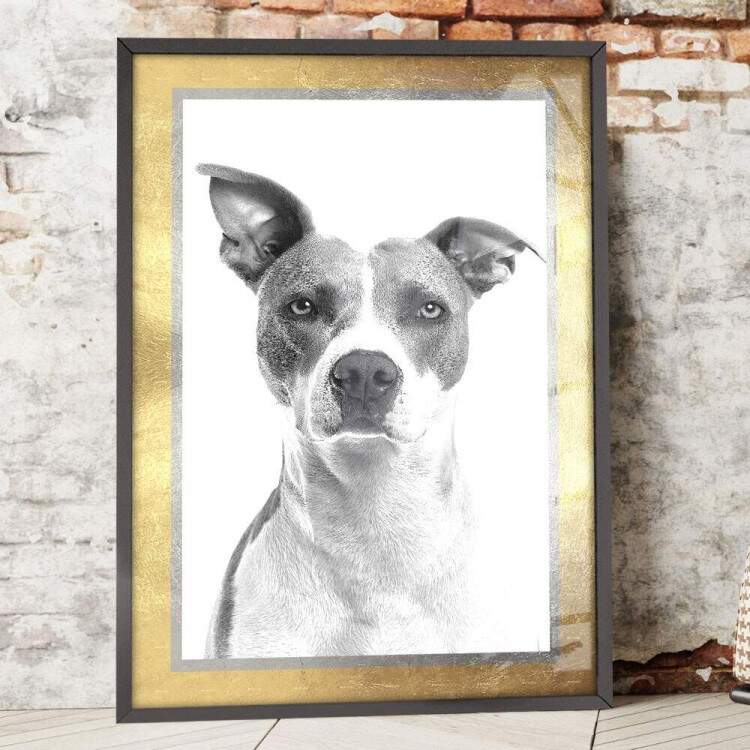 Quadro Decorativo Cachorro Preto e Branco