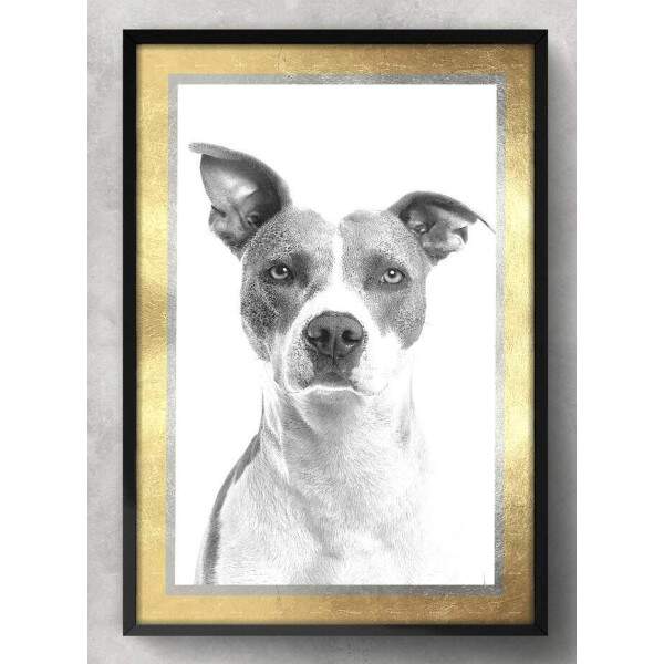 Quadro Decorativo Cachorro Preto e Branco