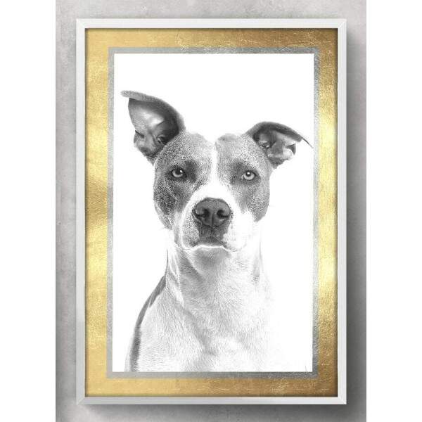 Quadro Decorativo Cachorro Preto e Branco