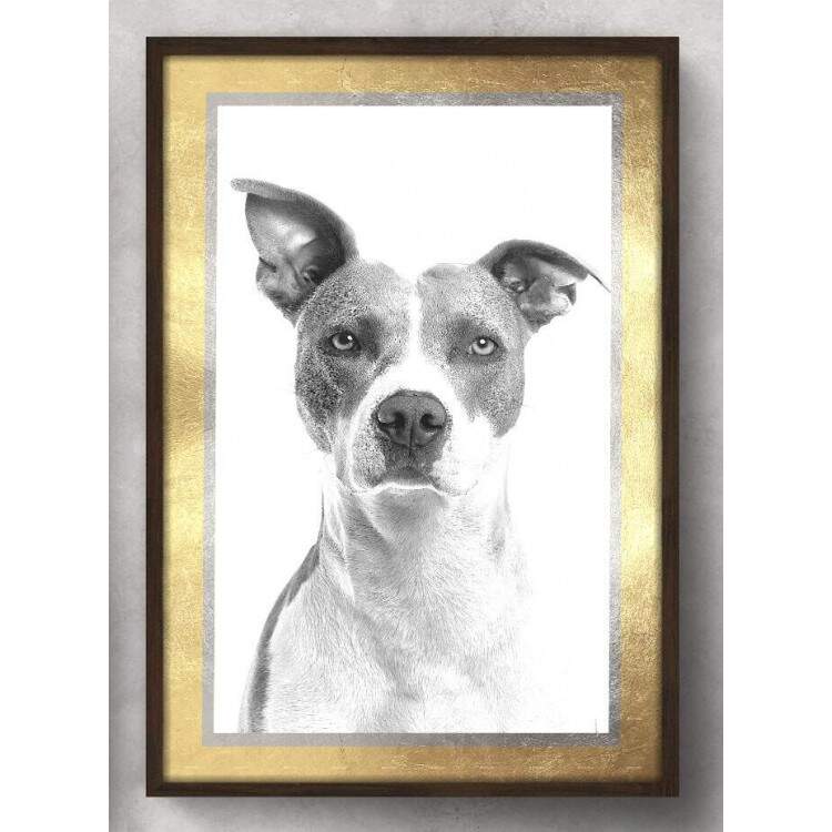 Quadro Decorativo Cachorro Preto e Branco