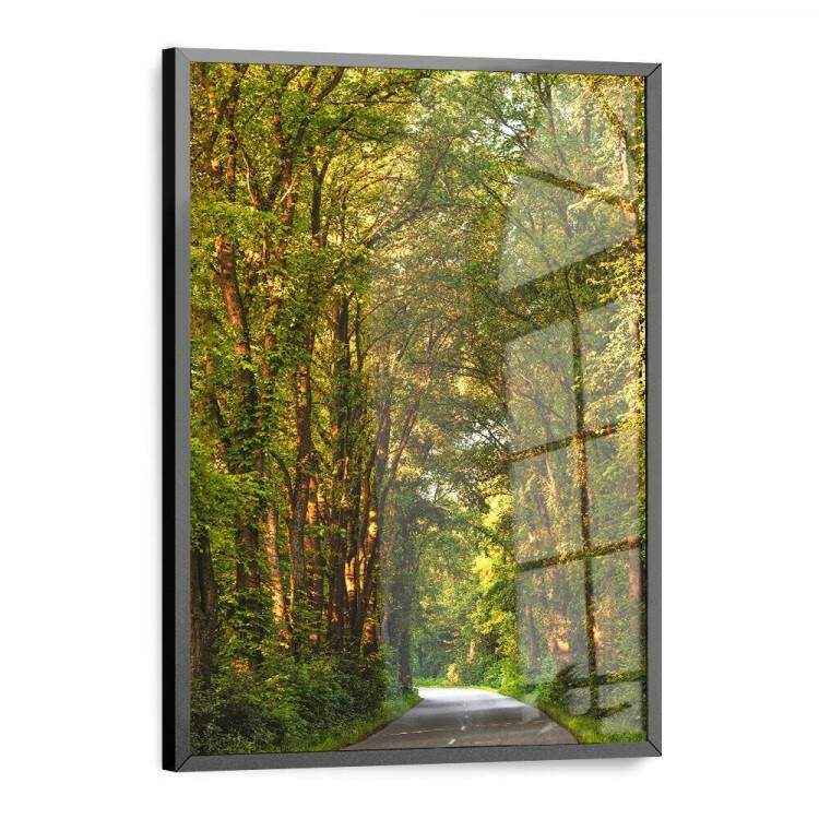 Quadro Decorativo Estrada com rvores