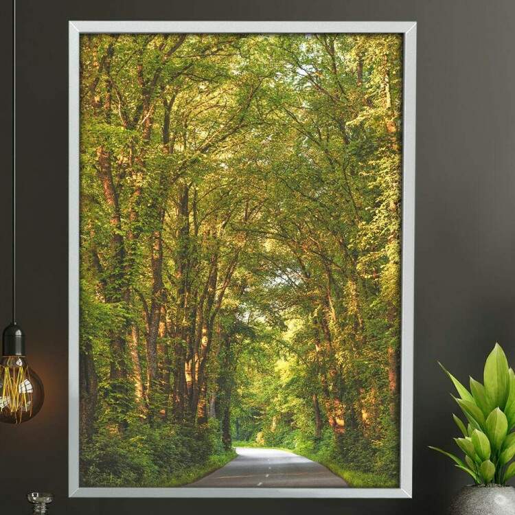 Quadro Decorativo Estrada com rvores