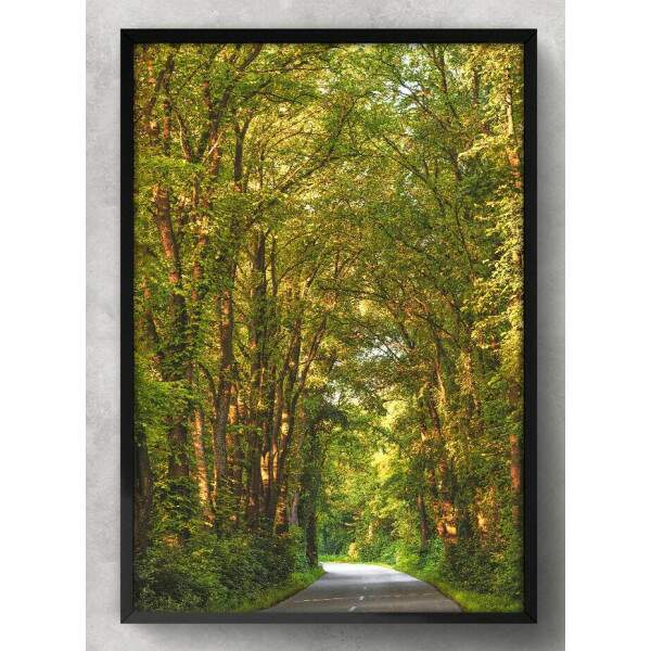 Quadro Decorativo Estrada com rvores