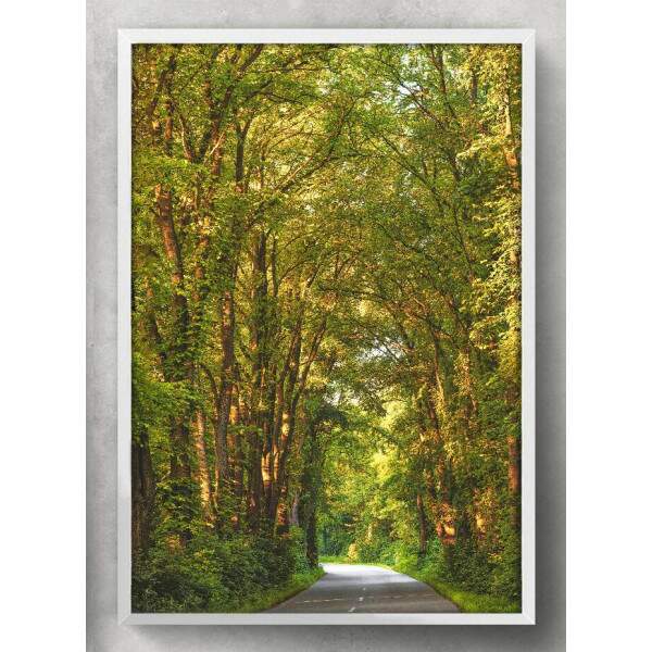 Quadro Decorativo Estrada com rvores