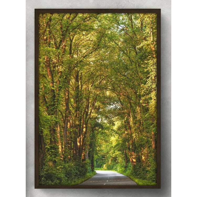 Quadro Decorativo Estrada com rvores