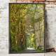 Quadro Decorativo Estrada com �rvores
