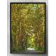 Quadro Decorativo Estrada com �rvores