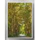 Quadro Decorativo Estrada com �rvores