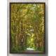 Quadro Decorativo Estrada com �rvores